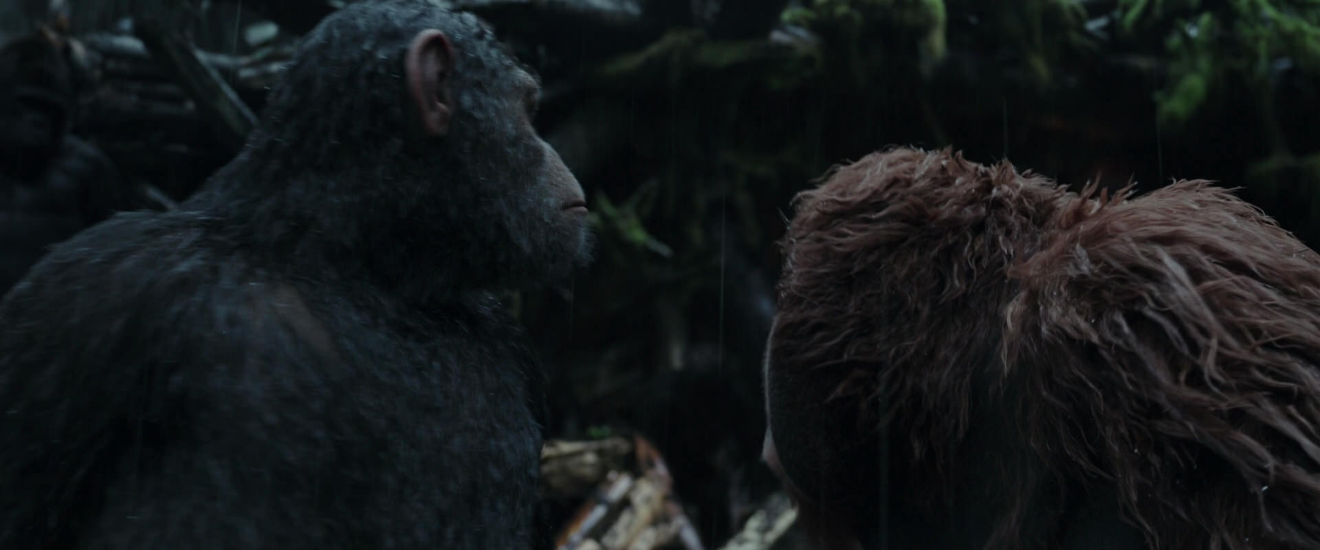 War for the Planet of the Apes (2017) HD screenshot 1304