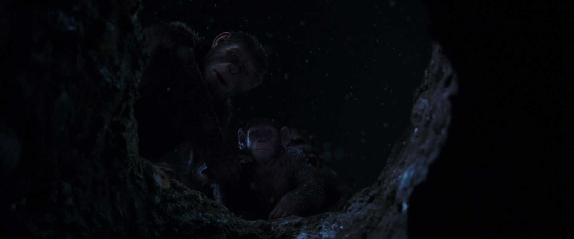 War for the Planet of the Apes (2017) screencap 13041