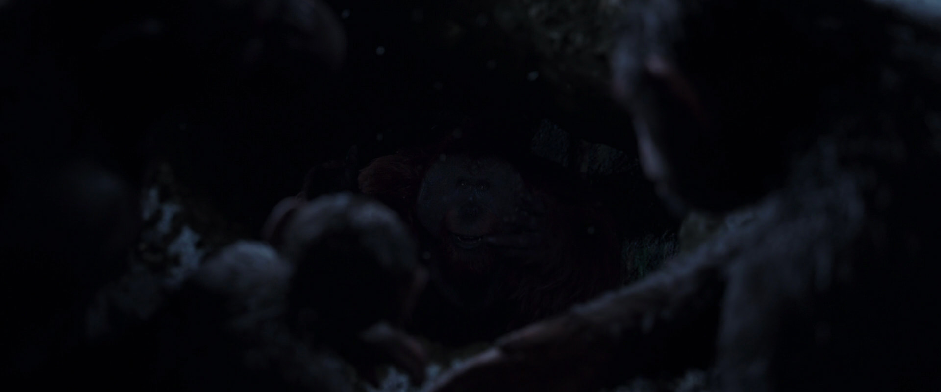 War for the Planet of the Apes (2017) HD screenshot 13043