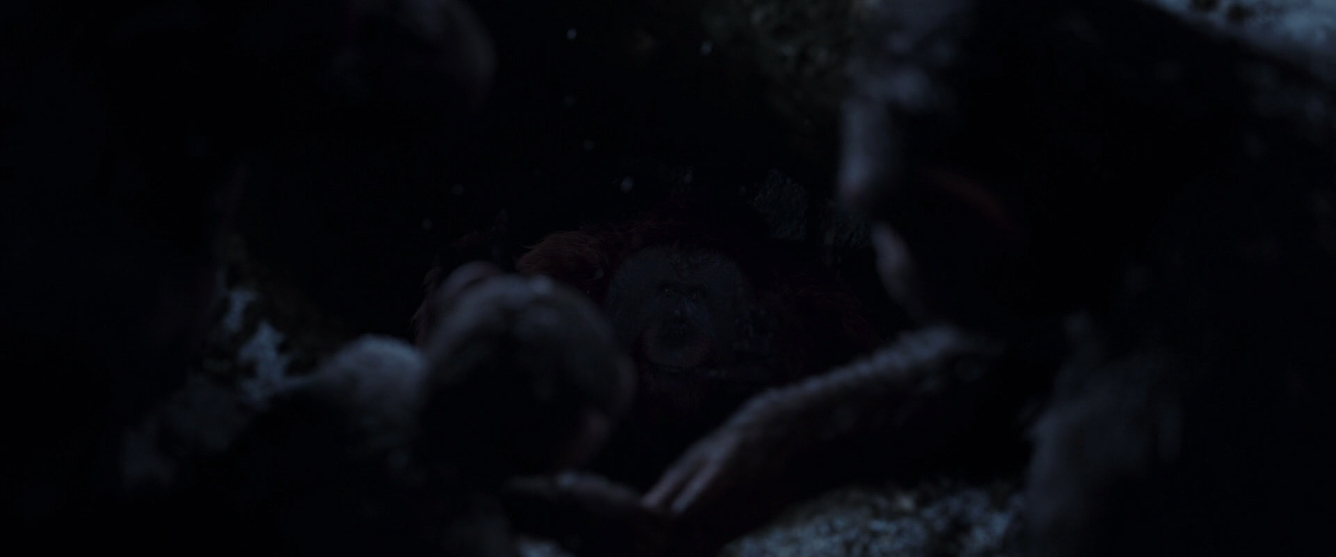 War for the Planet of the Apes (2017) screencap 13044