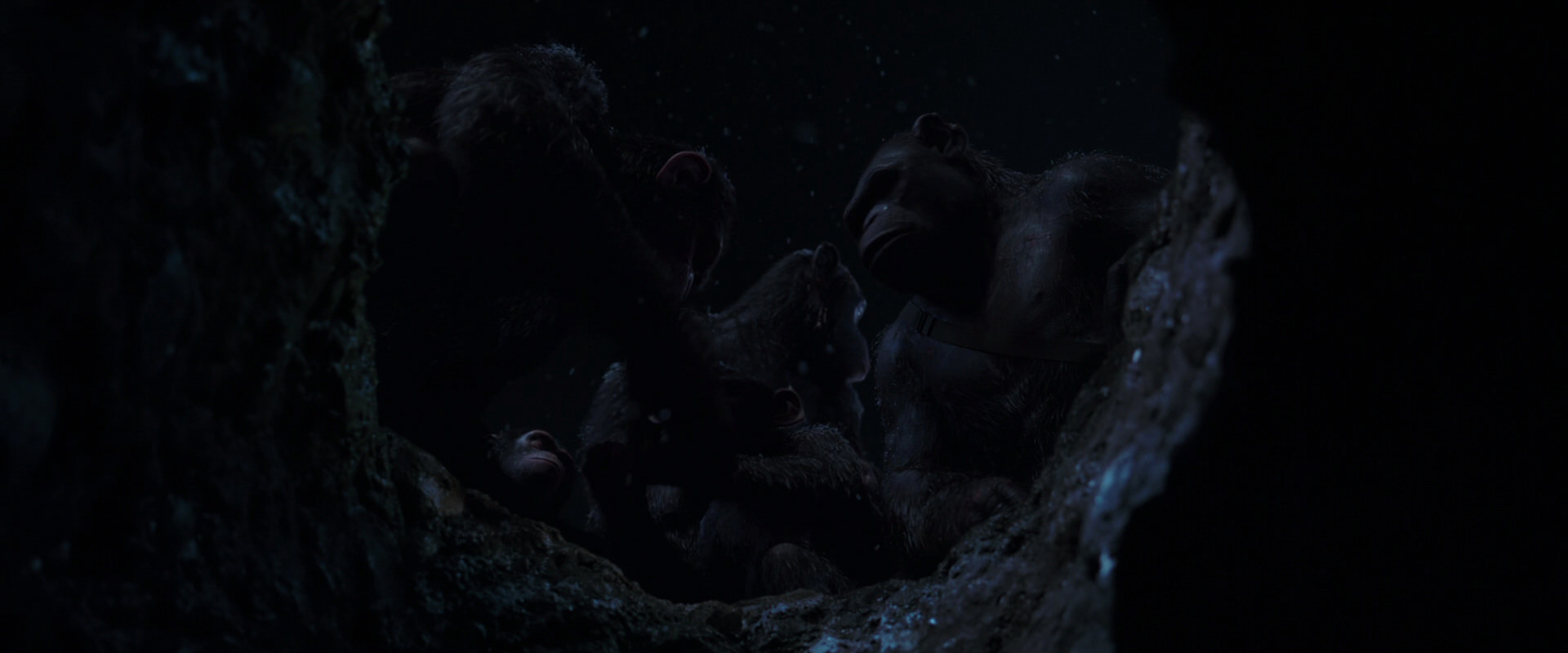 War for the Planet of the Apes (2017) movie still 13045