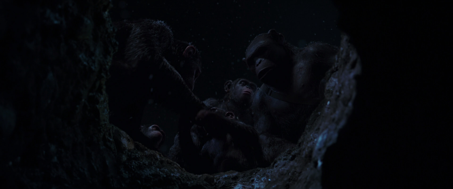 War for the Planet of the Apes (2017) HD screenshot 13046