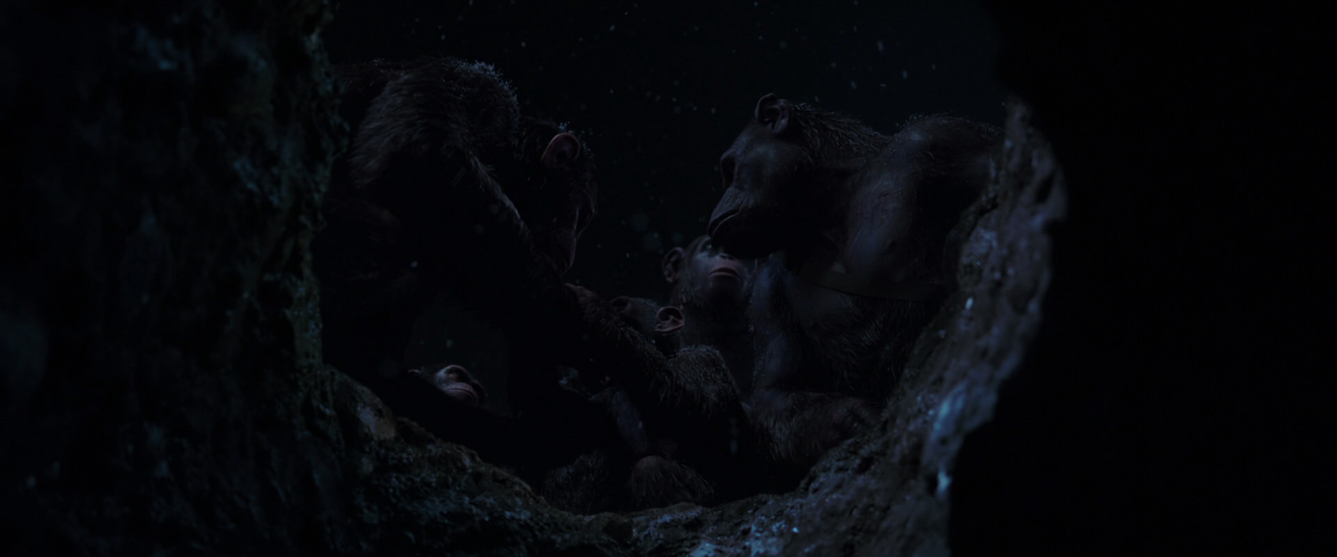 War for the Planet of the Apes (2017) screencap 13047