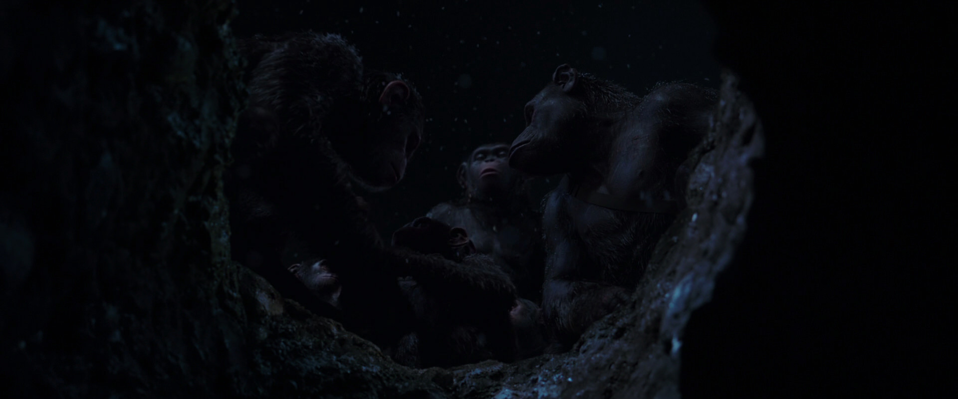 War for the Planet of the Apes (2017) movie still 13048