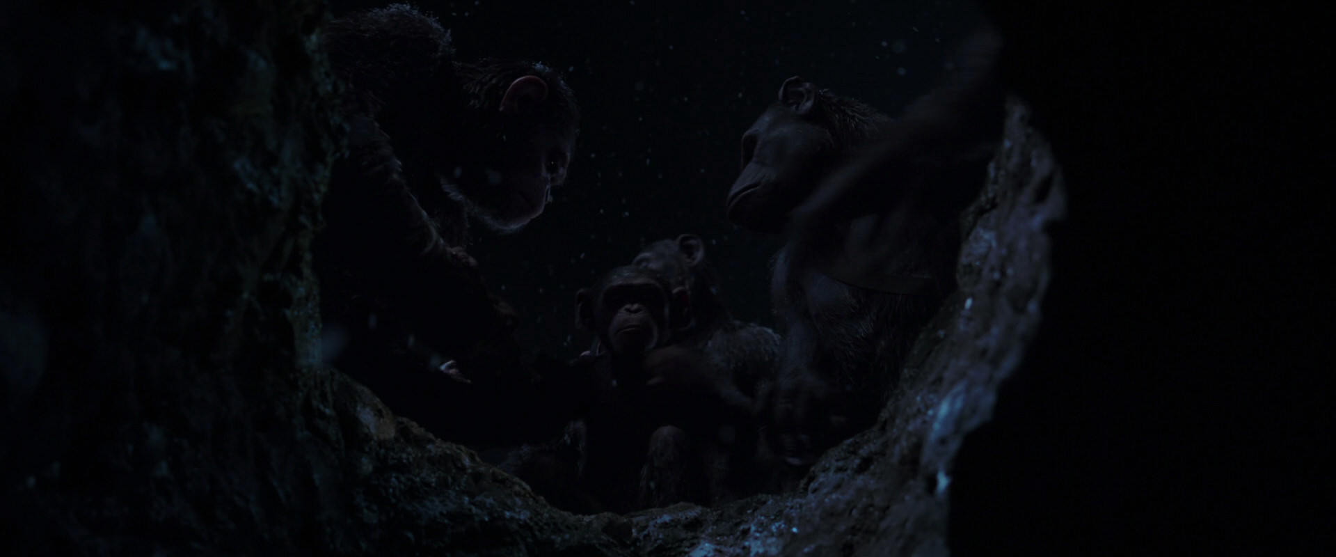 War for the Planet of the Apes (2017) HD screenshot 13049