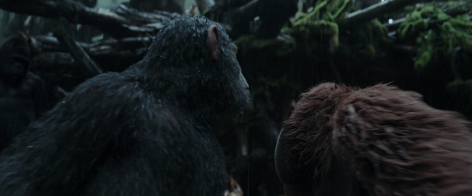 War for the Planet of the Apes (2017) screencap 1305