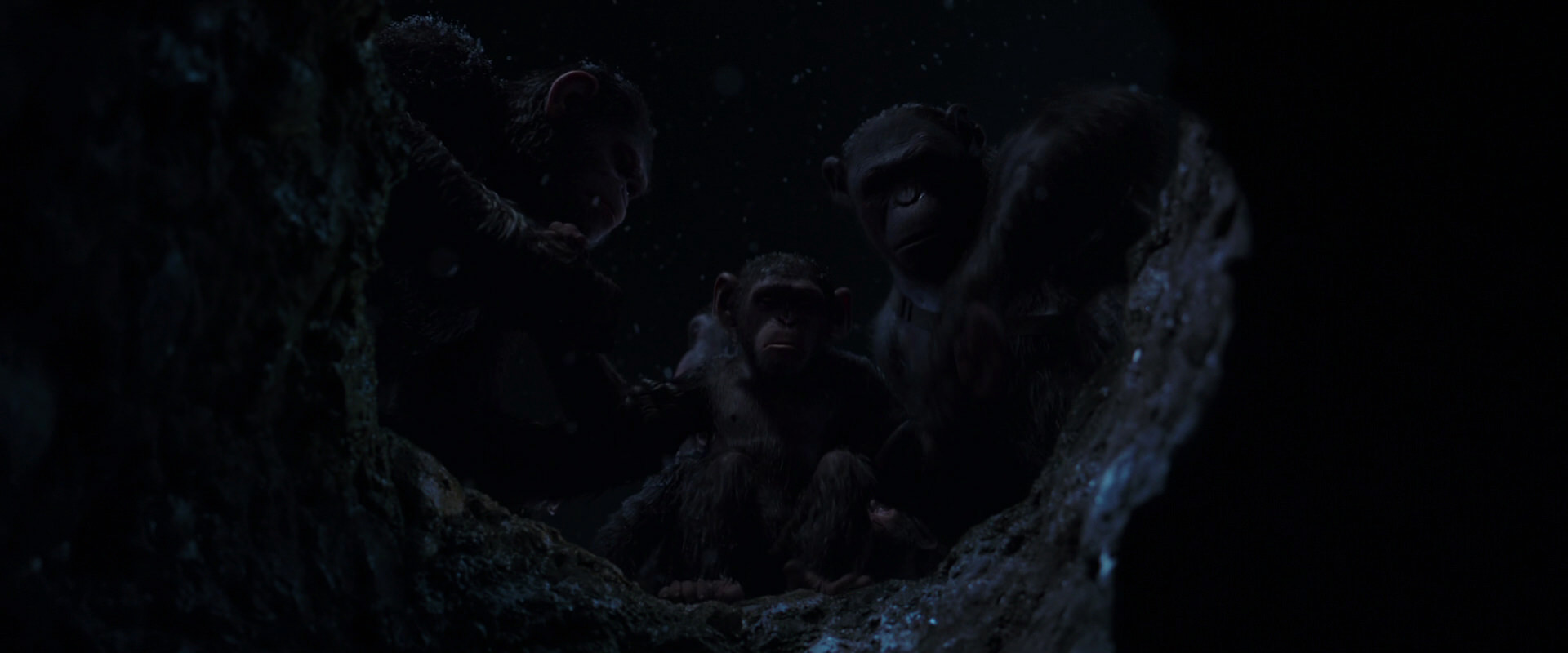 War for the Planet of the Apes (2017) screencap 13050