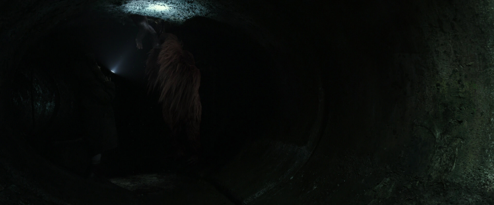 War for the Planet of the Apes (2017) HD screenshot 13052