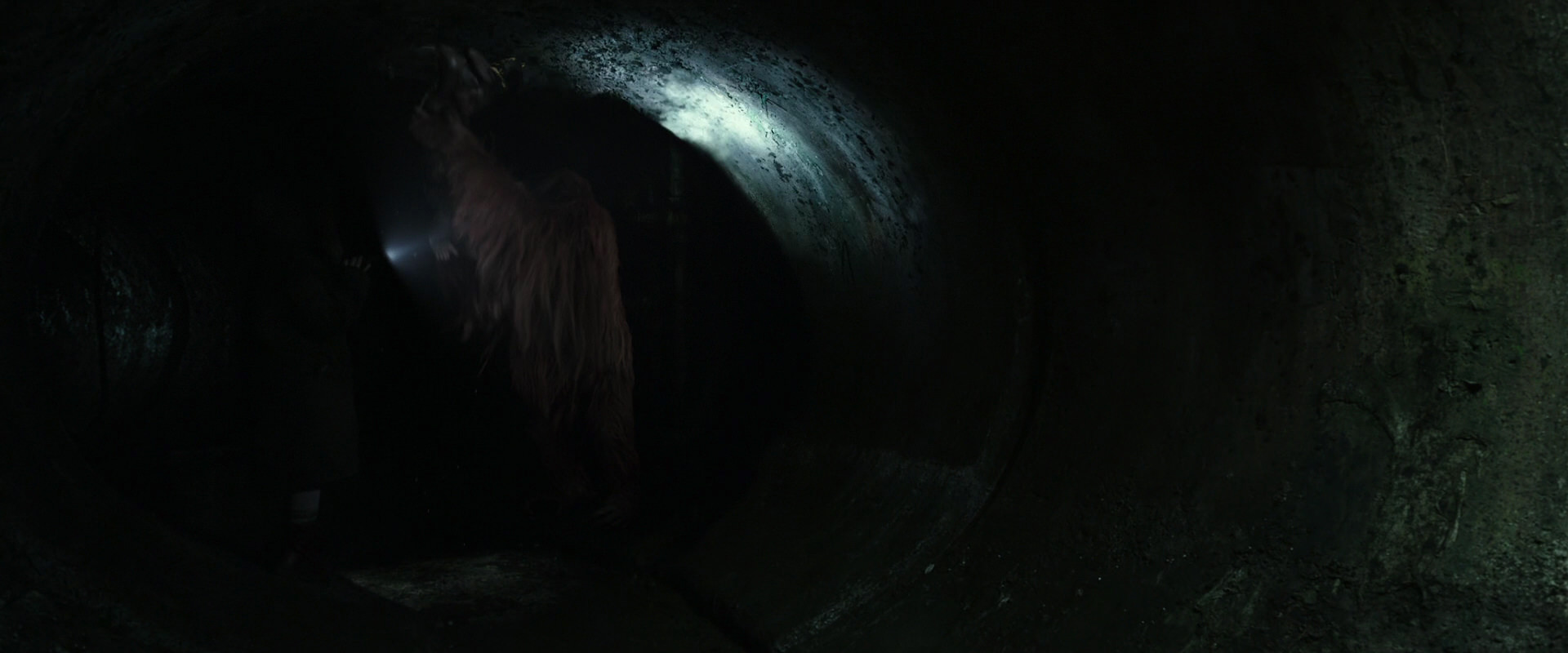 War for the Planet of the Apes (2017) screencap 13053