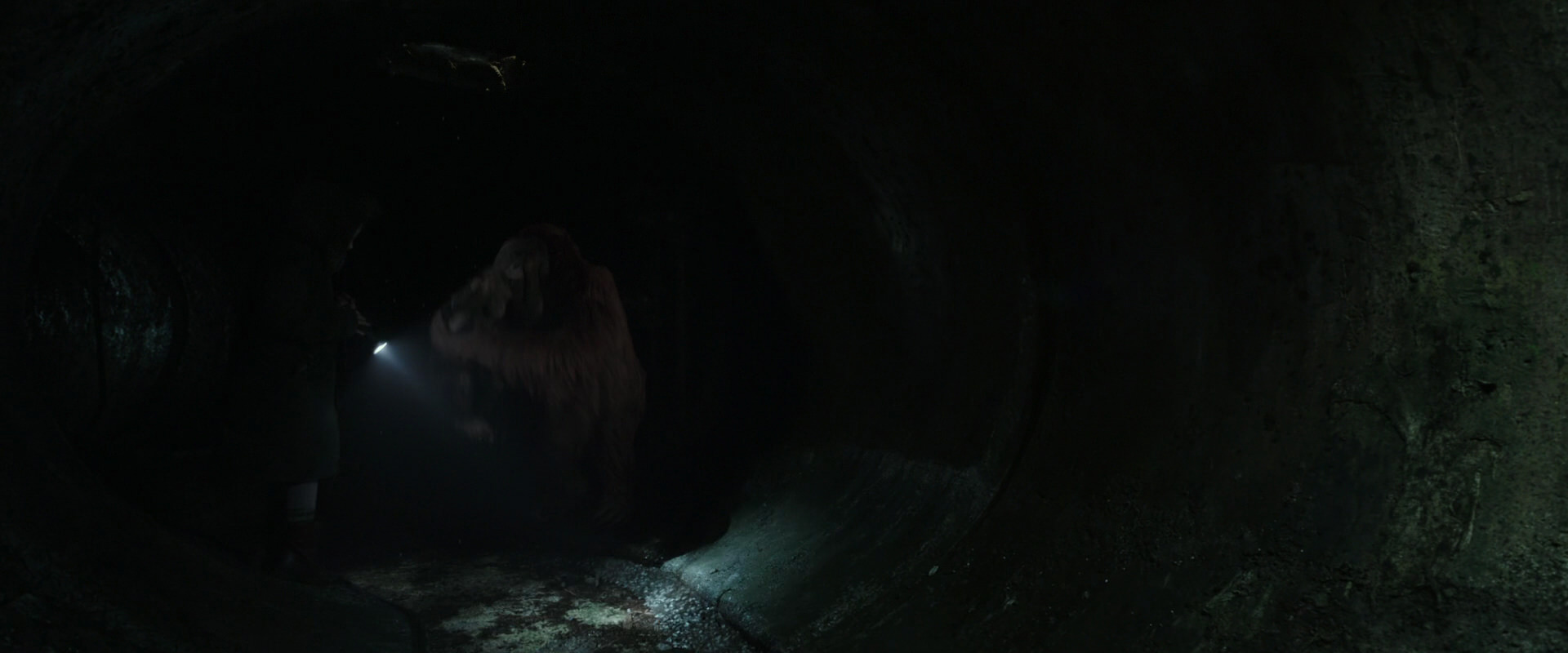 War for the Planet of the Apes (2017) movie still 13054