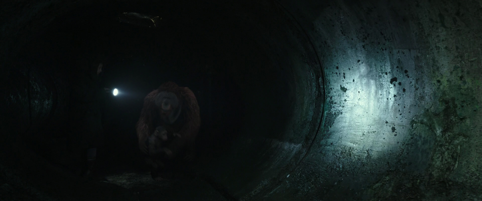 War for the Planet of the Apes (2017) HD screenshot 13055