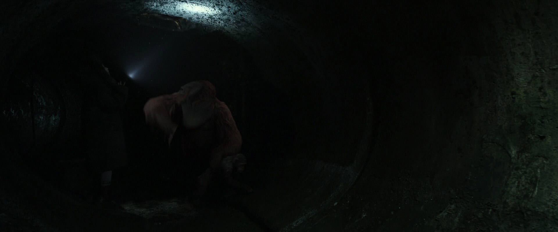 War for the Planet of the Apes (2017) screencap 13056