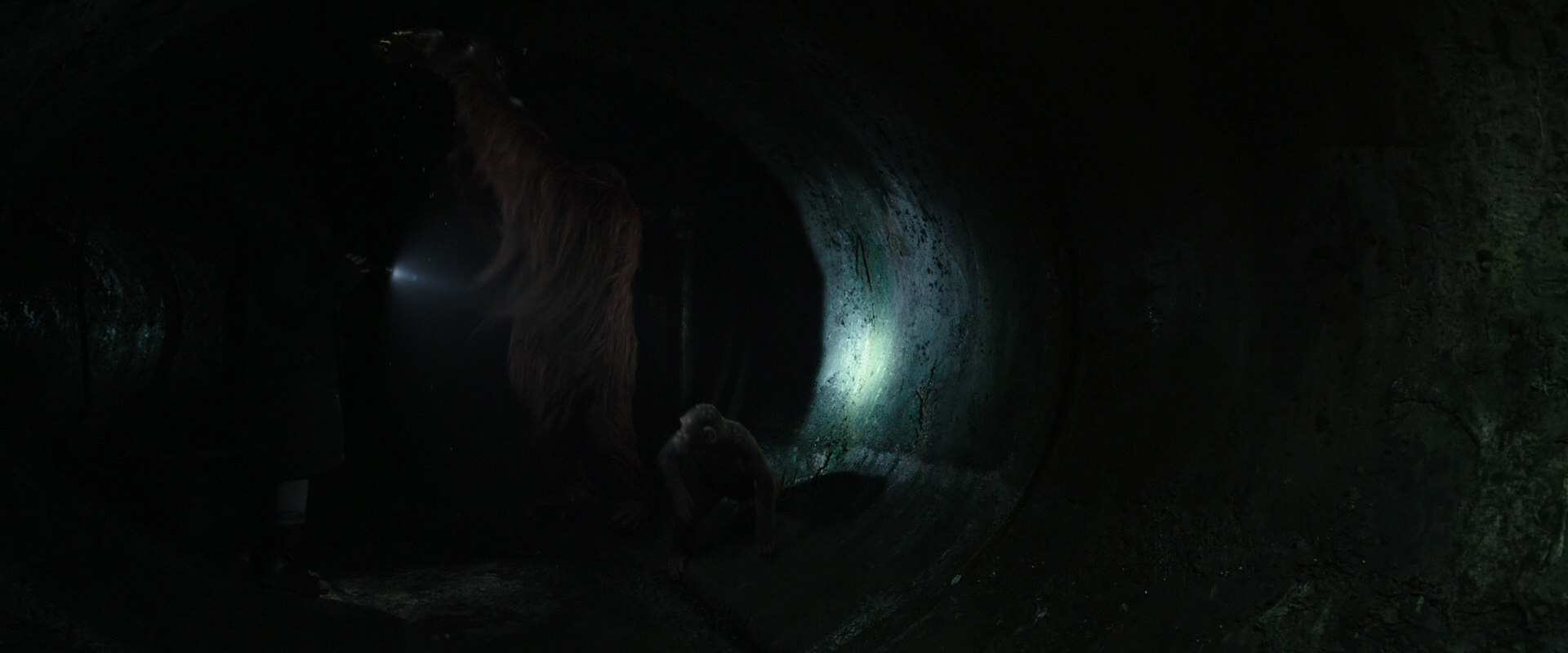 War for the Planet of the Apes (2017) HD screenshot 13058