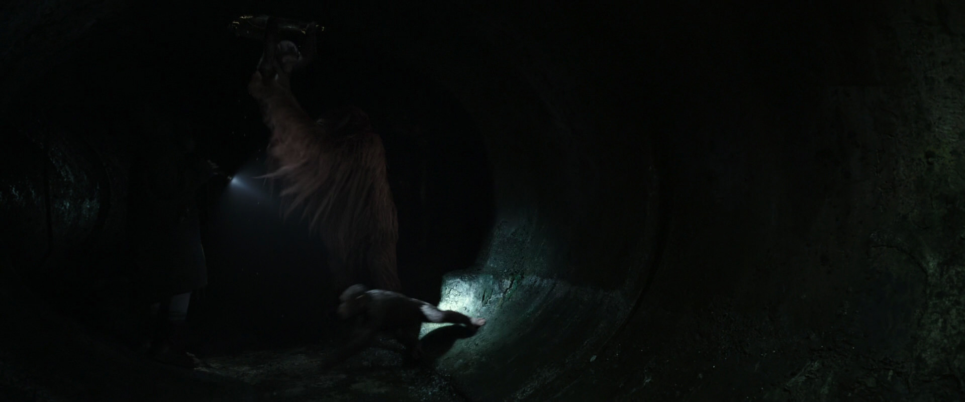 War for the Planet of the Apes (2017) screencap 13059