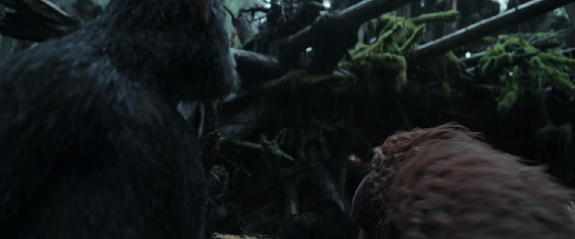 War for the Planet of the Apes (2017) movie still 1306