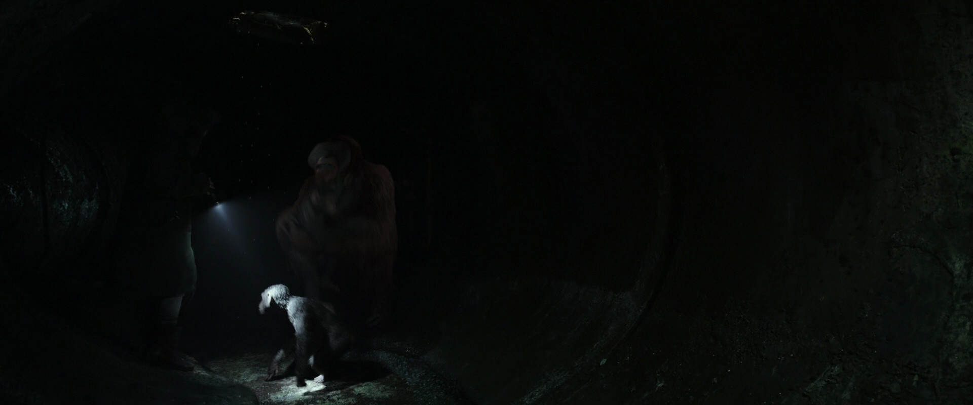 War for the Planet of the Apes (2017) movie still 13060