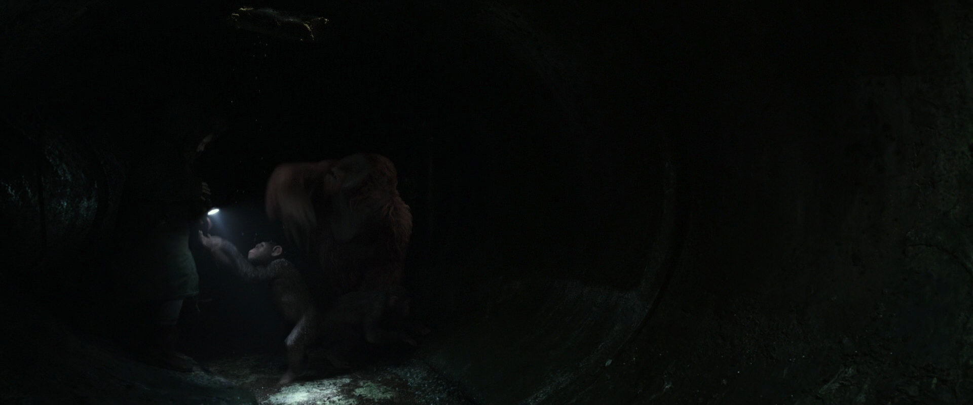 War for the Planet of the Apes (2017) HD screenshot 13061