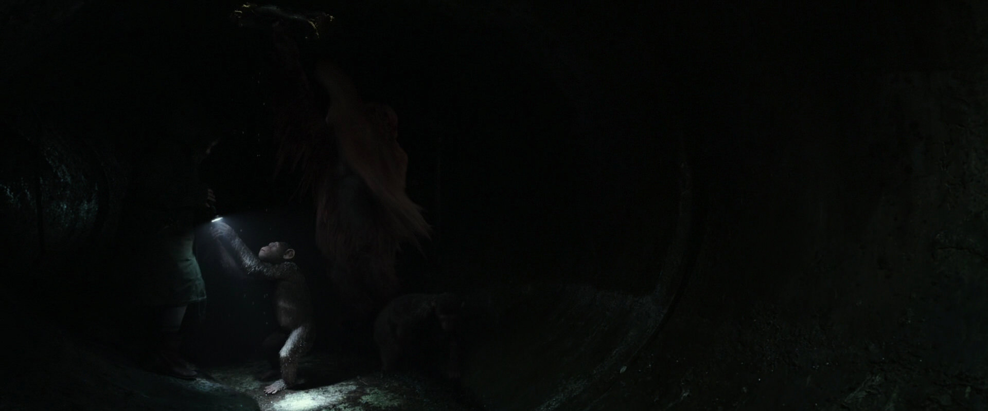 War for the Planet of the Apes (2017) screencap 13062