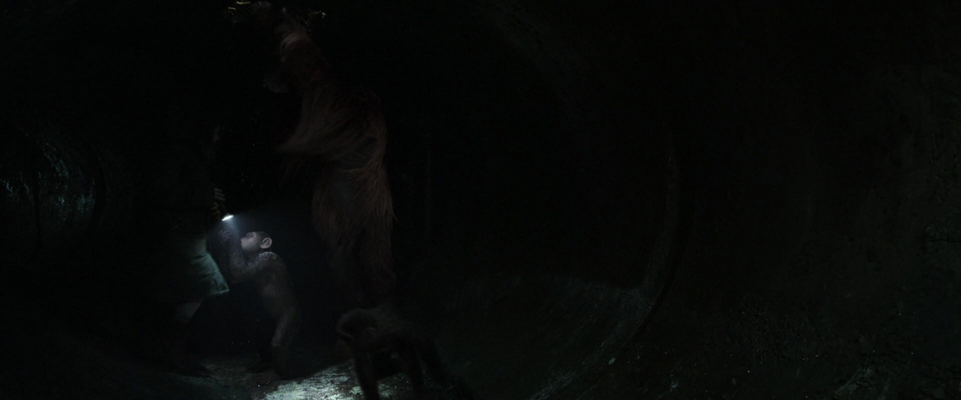 War for the Planet of the Apes (2017) movie still 13063