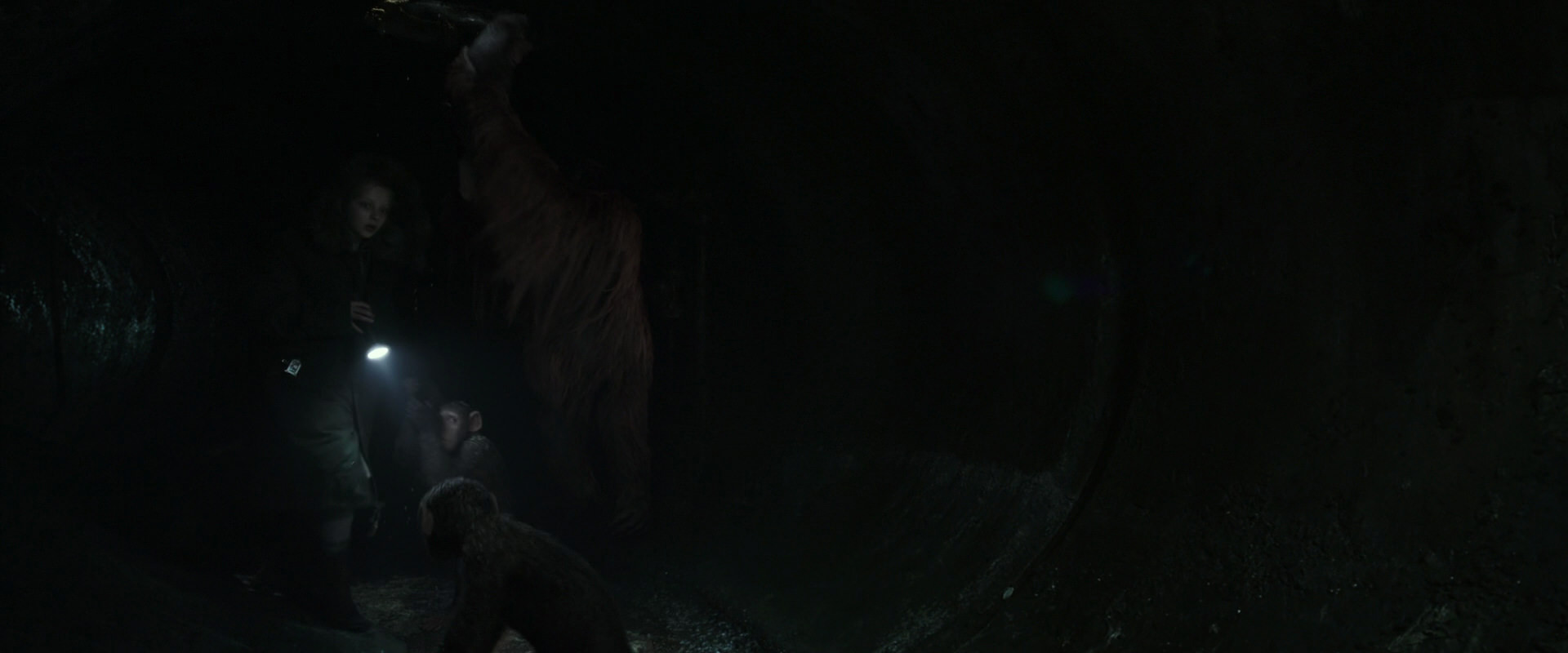 War for the Planet of the Apes (2017) HD screenshot 13064