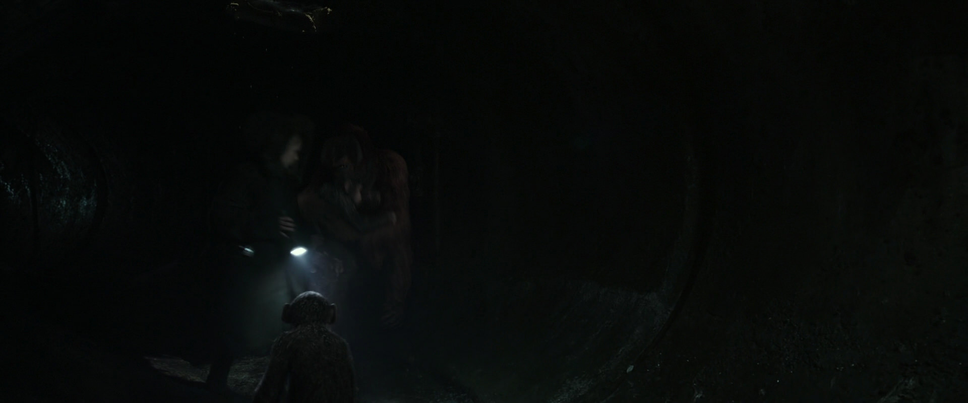 War for the Planet of the Apes (2017) screencap 13065