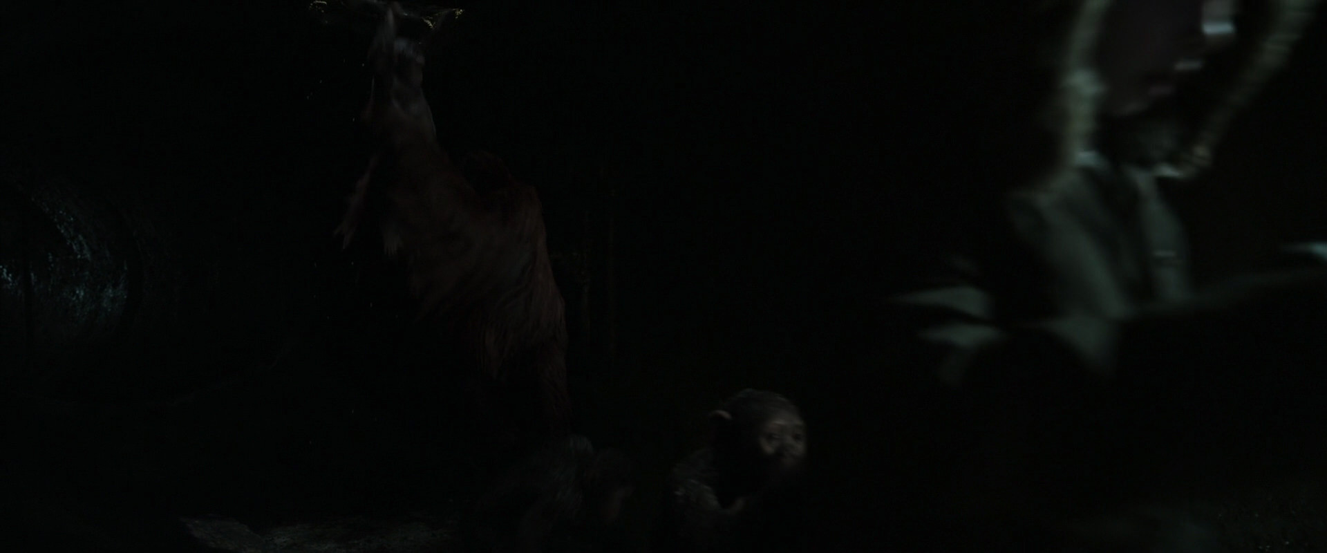 War for the Planet of the Apes (2017) movie still 13069
