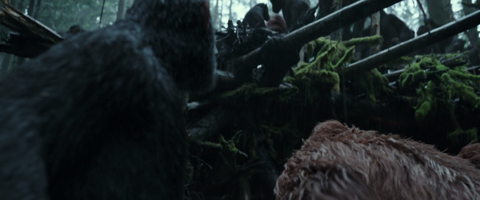 War for the Planet of the Apes (2017) HD screenshot 1307