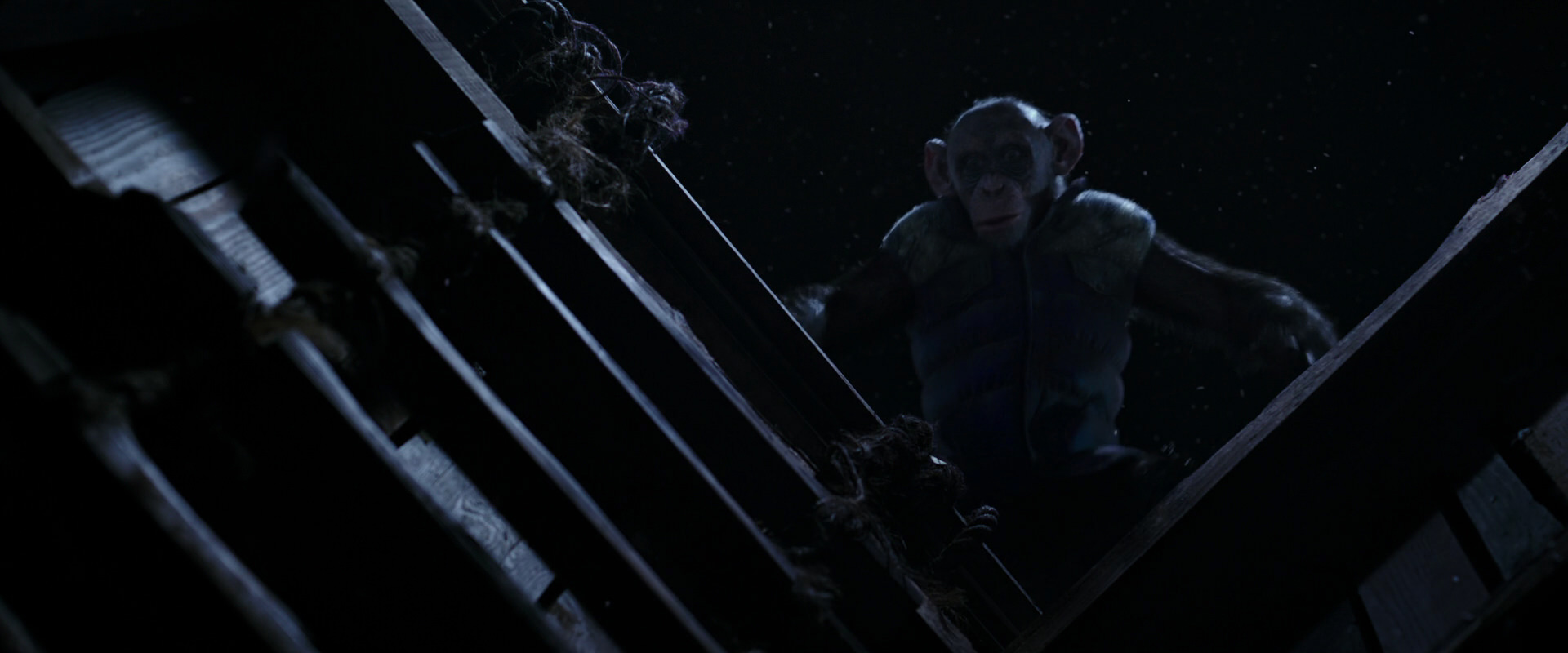 War for the Planet of the Apes (2017) HD screenshot 13070