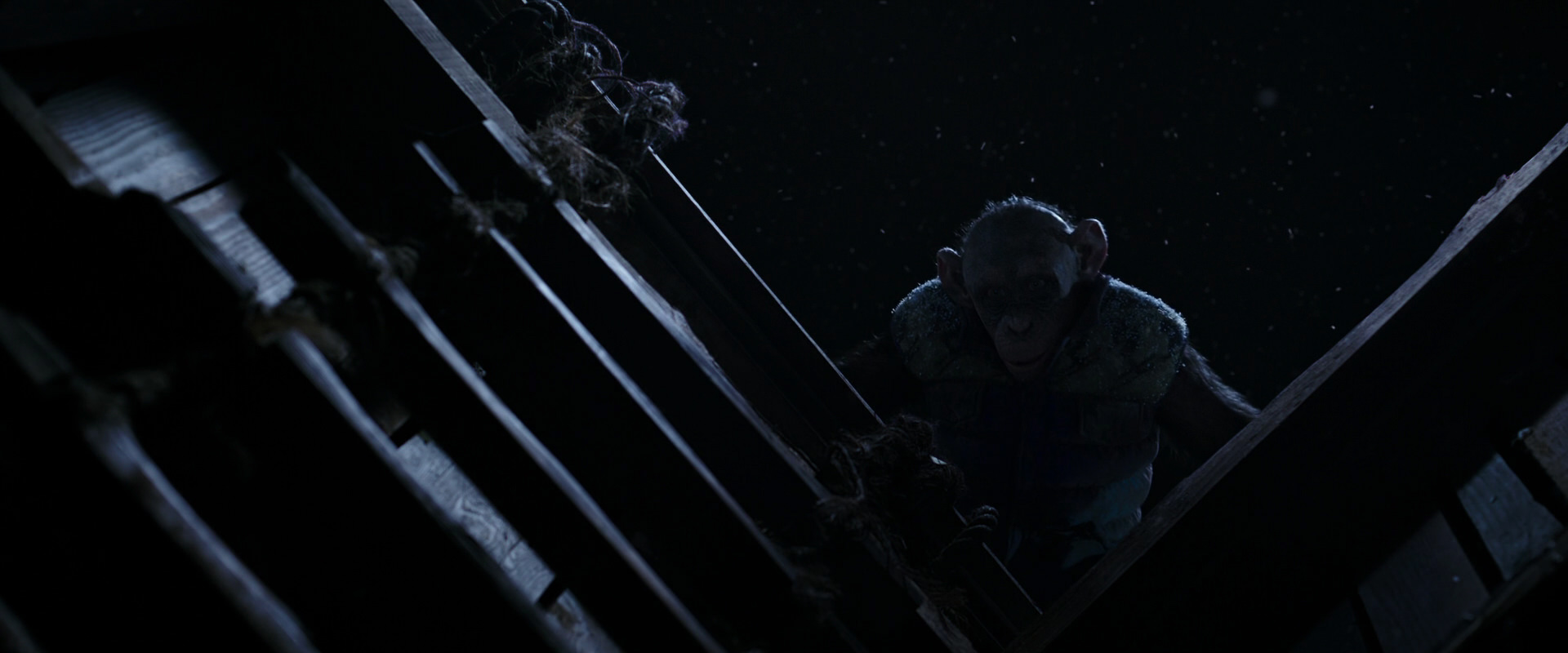 War for the Planet of the Apes (2017) screencap 13071