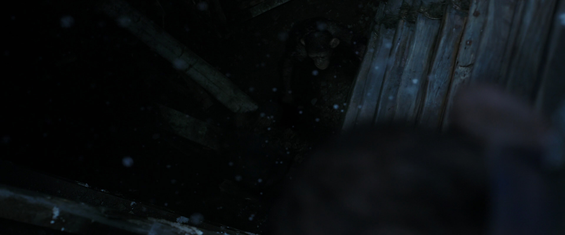 War for the Planet of the Apes (2017) HD screenshot 13073