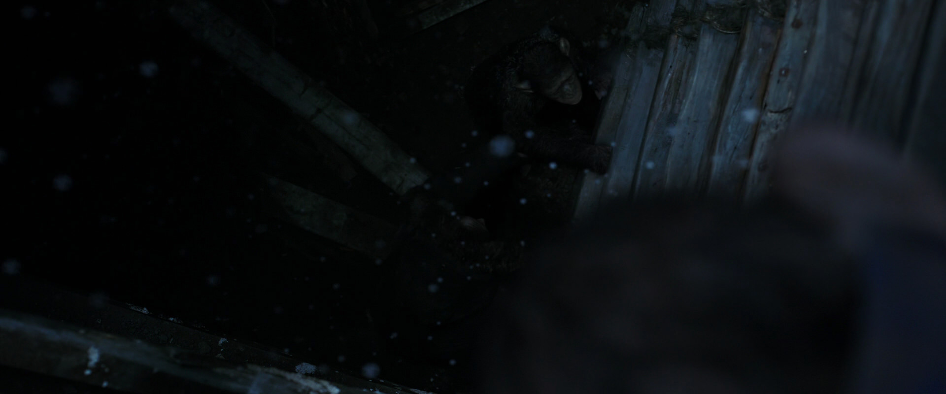 War for the Planet of the Apes (2017) screencap 13074