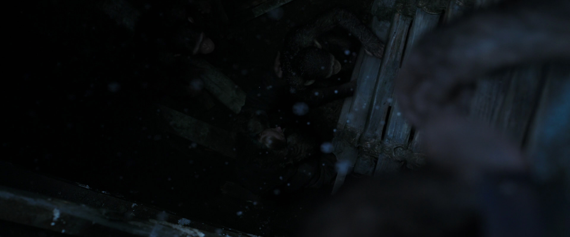 War for the Planet of the Apes (2017) HD screenshot 13076