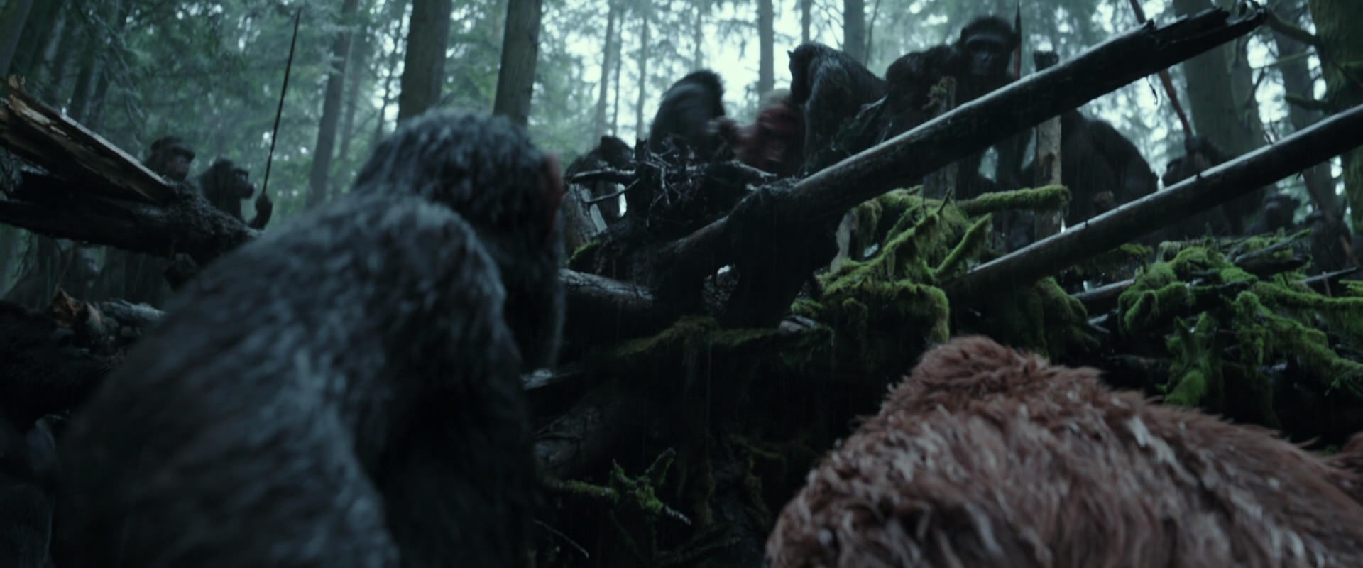 War for the Planet of the Apes (2017) screencap 1308
