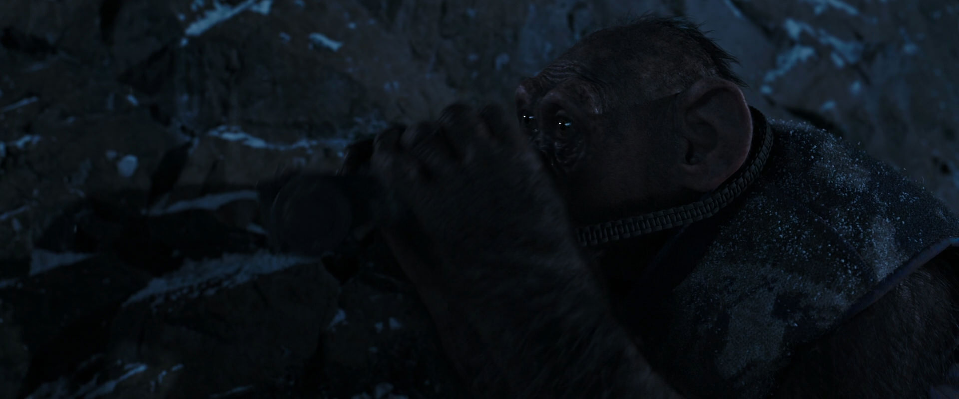 War for the Planet of the Apes (2017) screencap 13086