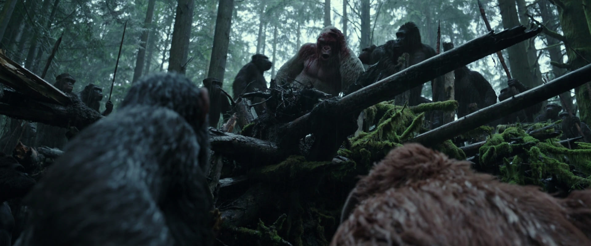 War for the Planet of the Apes (2017) movie still 1309