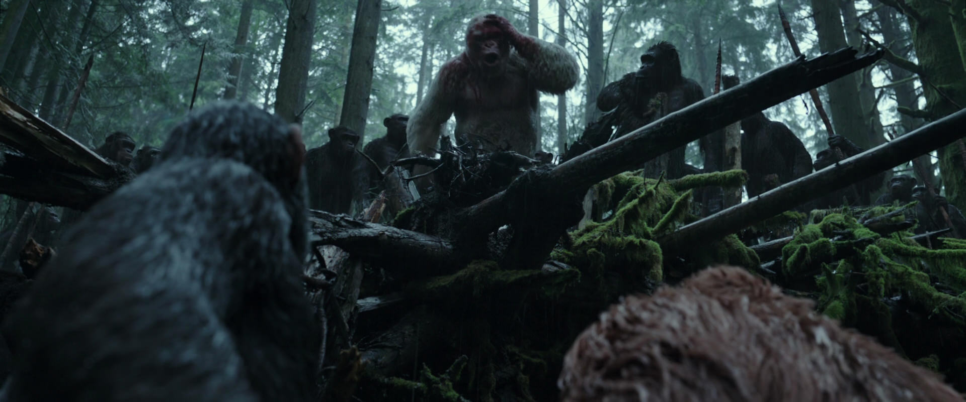 War for the Planet of the Apes (2017) HD screenshot 1310