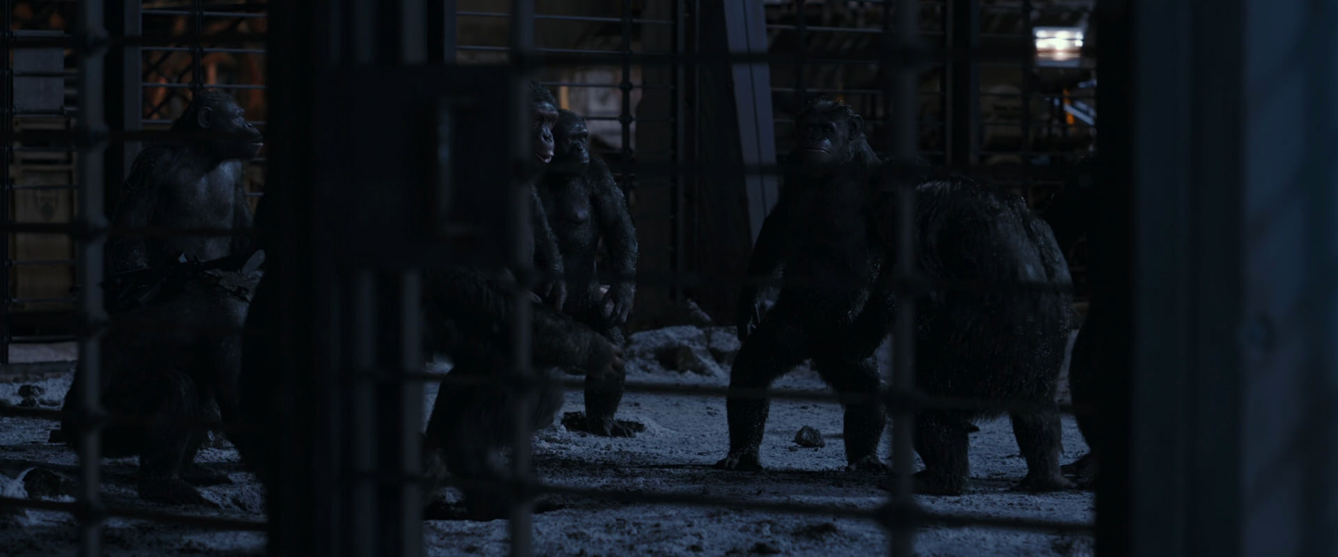 War for the Planet of the Apes (2017) screencap 13104