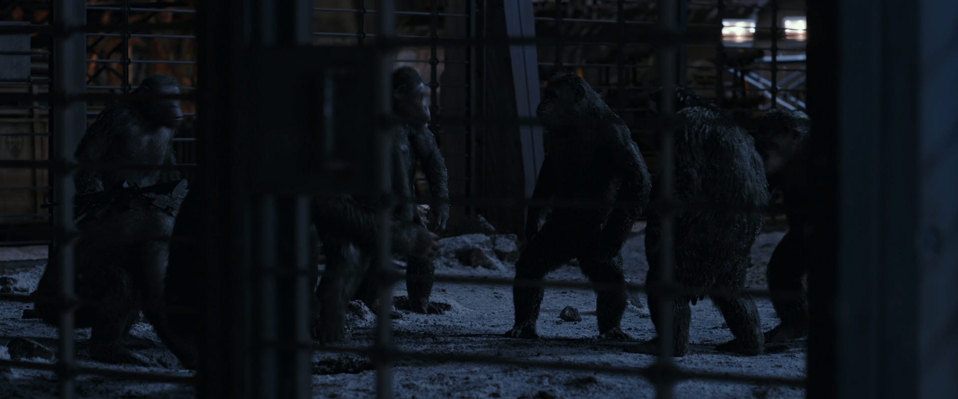 War for the Planet of the Apes (2017) movie still 13105