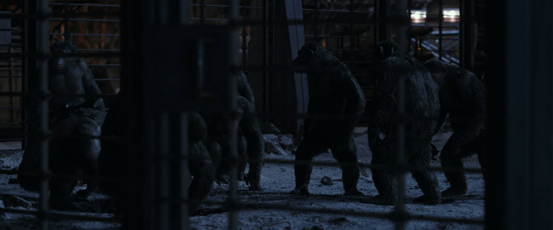 War for the Planet of the Apes (2017) HD screenshot 13106