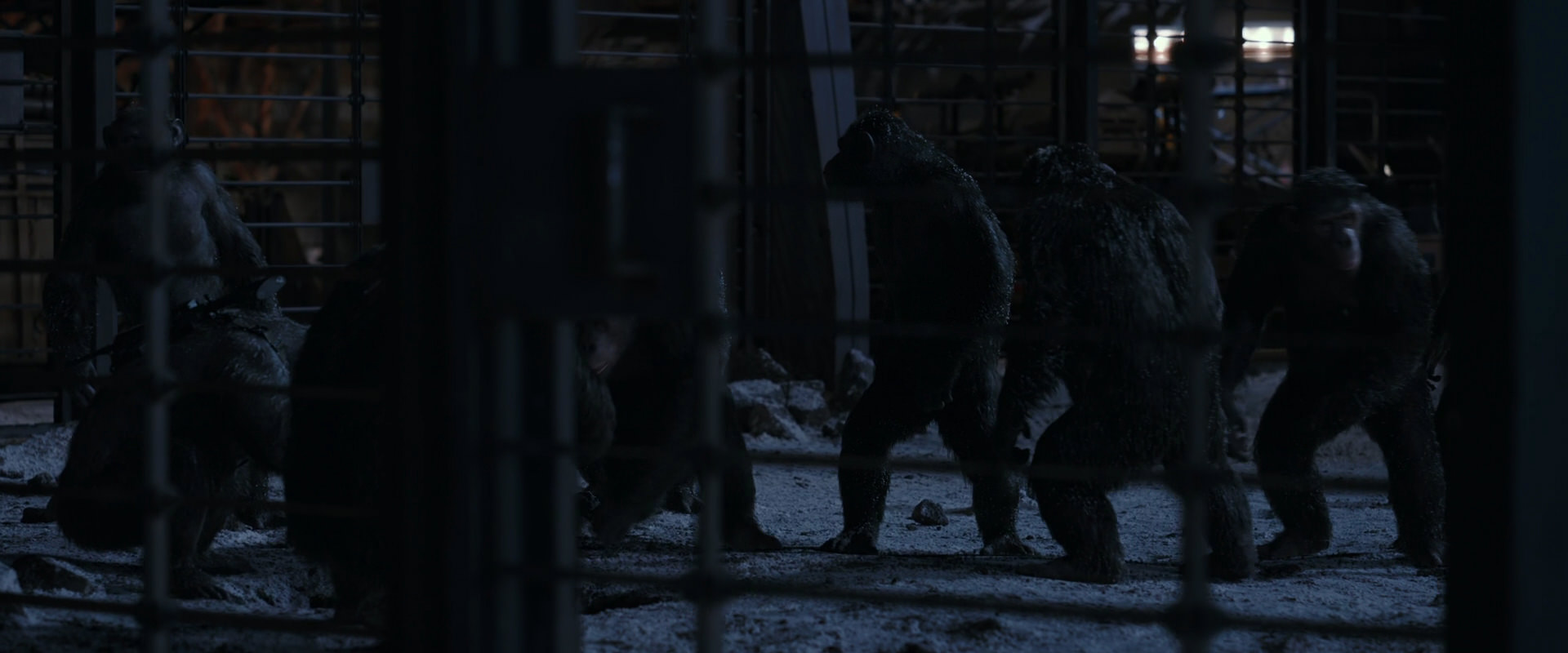 War for the Planet of the Apes (2017) screencap 13107