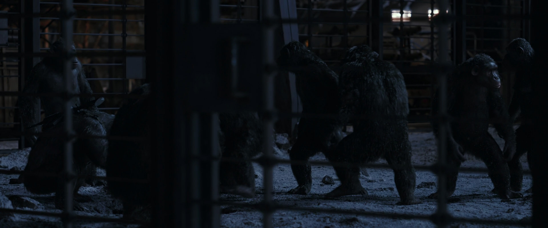 War for the Planet of the Apes (2017) movie still 13108