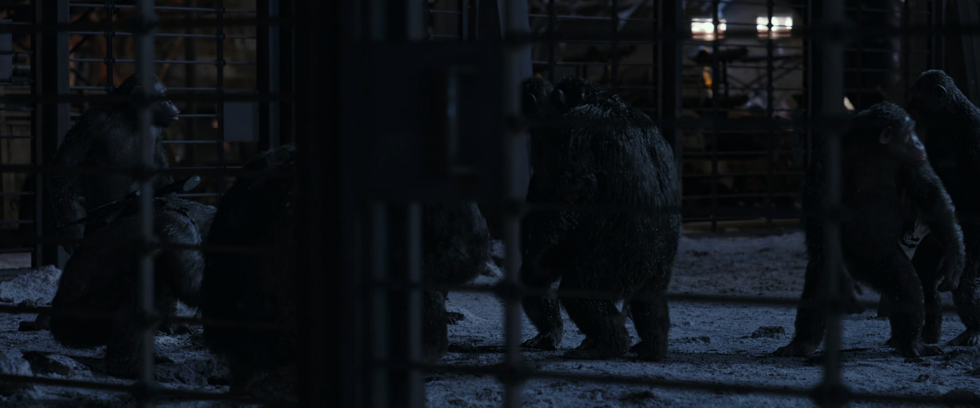 War for the Planet of the Apes (2017) HD screenshot 13109