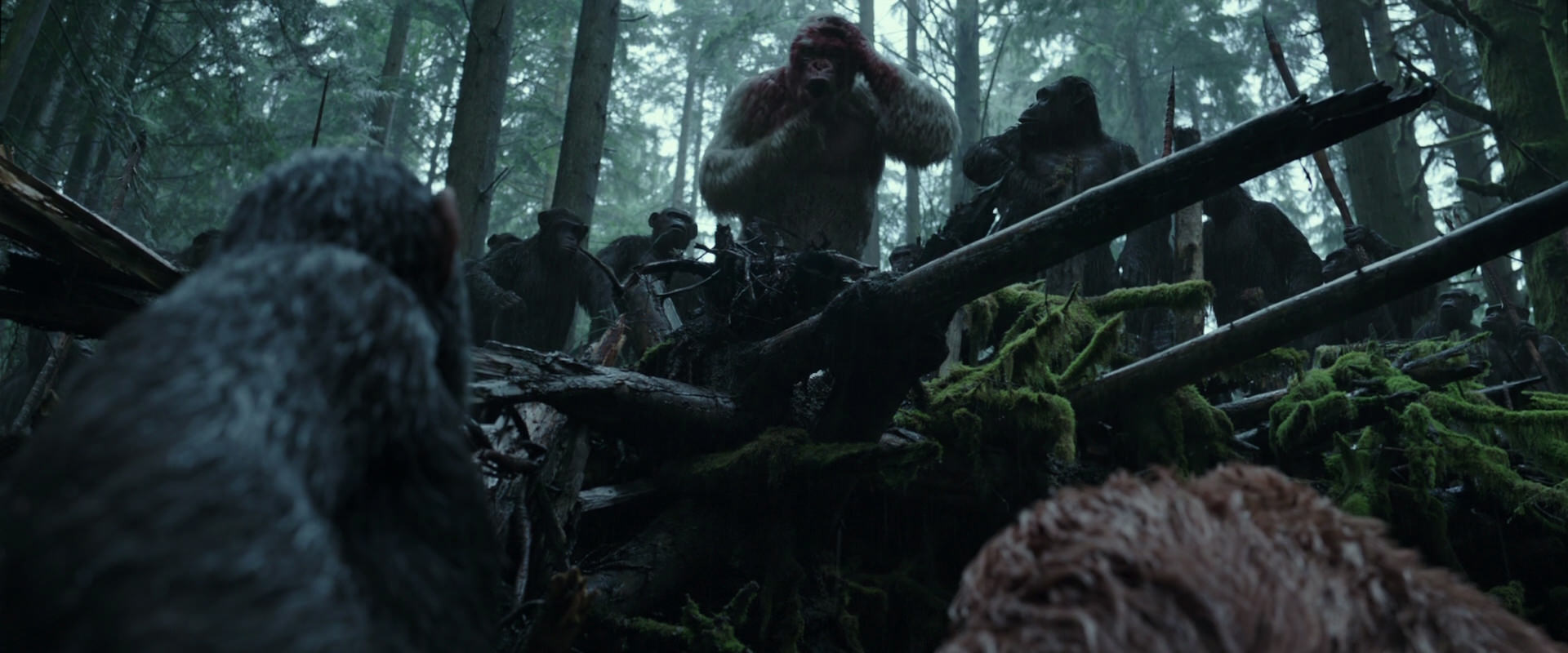 War for the Planet of the Apes (2017) screencap 1311