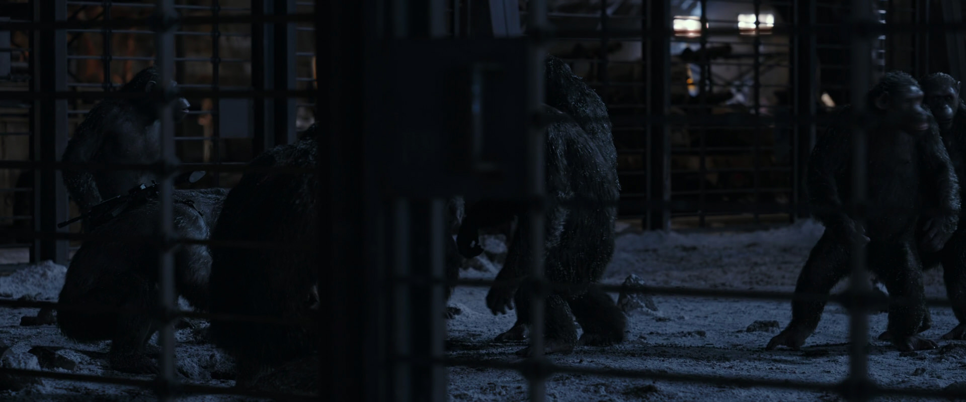 War for the Planet of the Apes (2017) screencap 13110