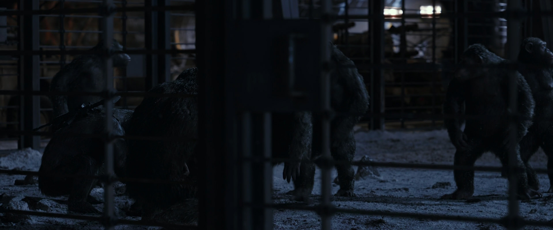 War for the Planet of the Apes (2017) movie still 13111