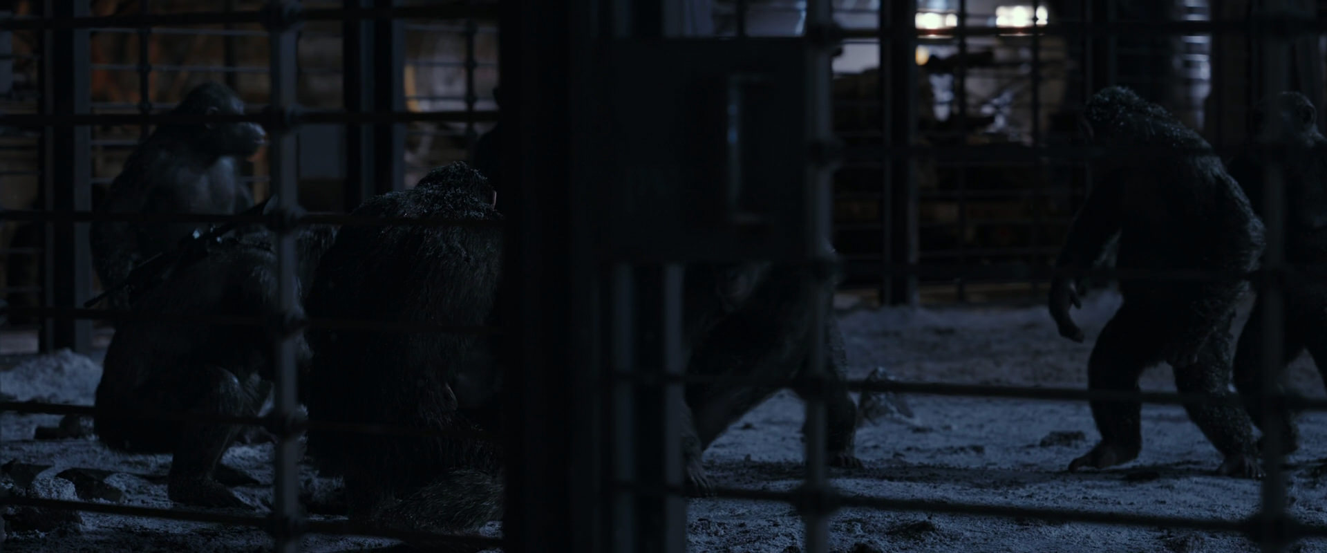 War for the Planet of the Apes (2017) HD screenshot 13112