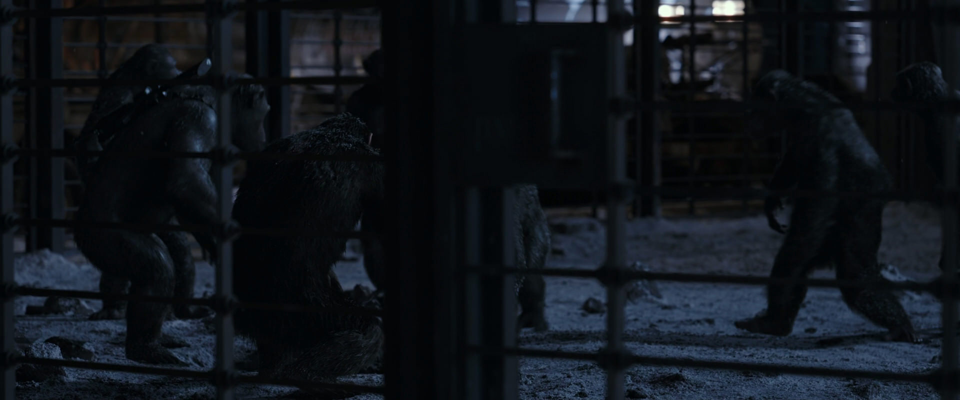 War for the Planet of the Apes (2017) screencap 13113