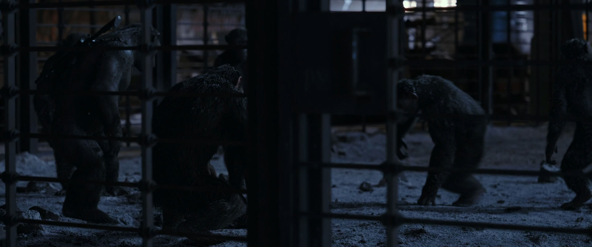 War for the Planet of the Apes (2017) movie still 13114