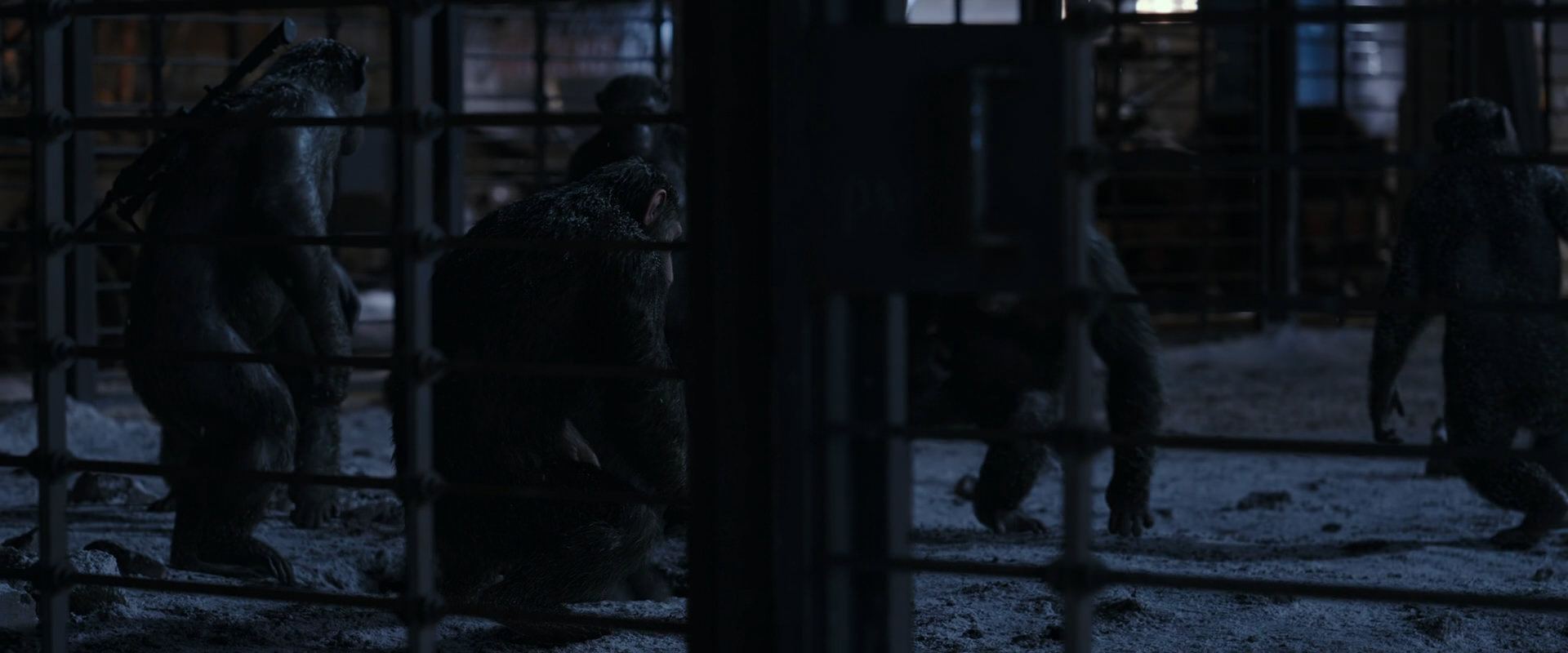 War for the Planet of the Apes (2017) HD screenshot 13115