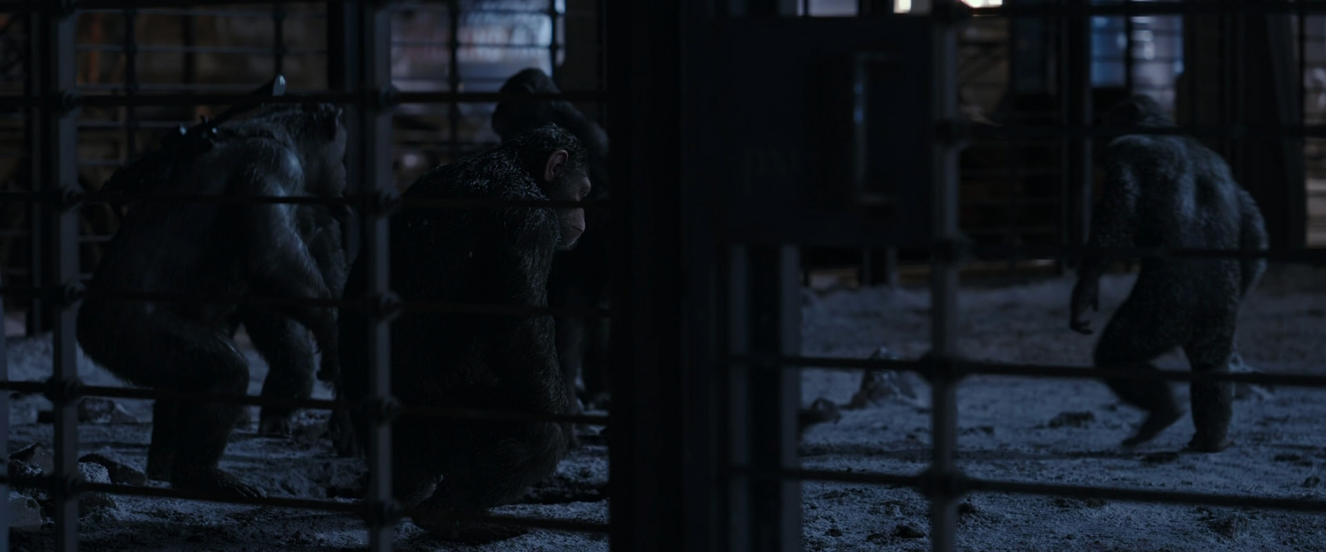 War for the Planet of the Apes (2017) screencap 13116